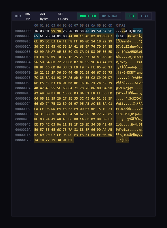 WPE x64 hex panel: title bar, column header, offset / bytes / characters