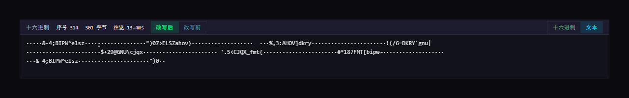 WPE x64 十六进制面板的文本页签