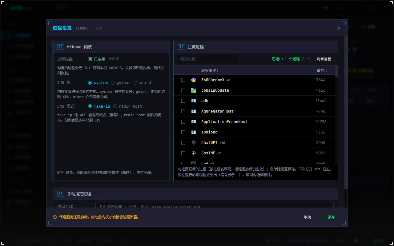 WPE x64 2.5 进程设置：mihomo 内核、TUN 与进程选择